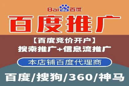 百度竞价排名案例分享：广告投放的技巧与误区